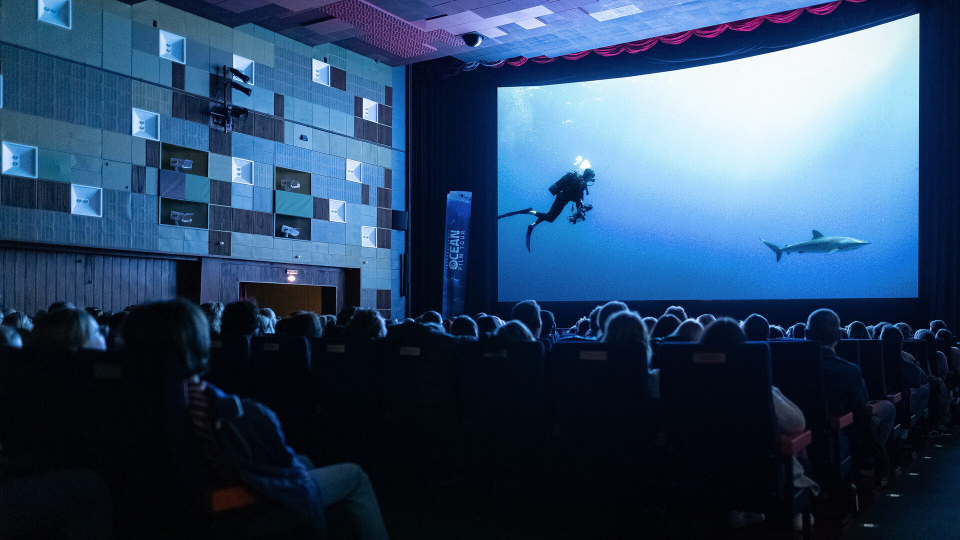 Room with an audience and a large screen showing a diver and a shark